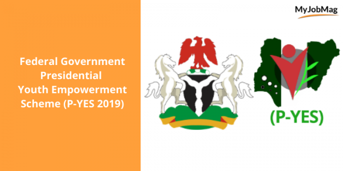 Federal Government Presidential Youth Empowerment Scheme (P-YES 2019)
